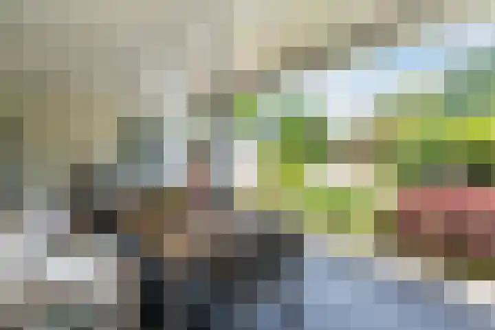 Zomerland 7 Geldrop thumbnail 29