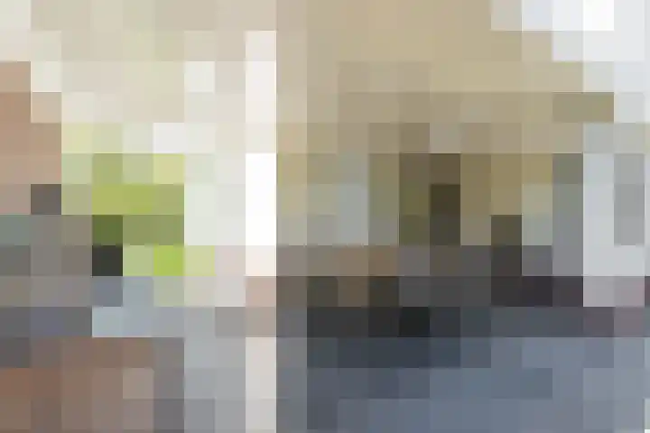 Zomerland 7 Geldrop thumbnail 30