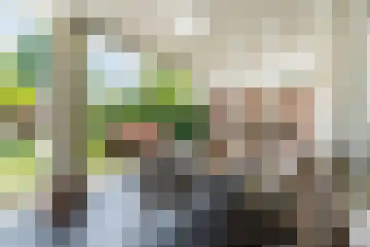 Zomerland 7 Geldrop thumbnail 31