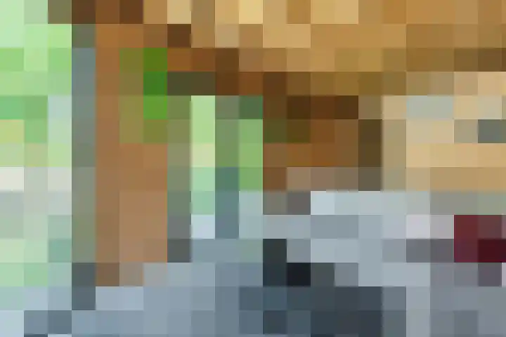 Zomerland 7 Geldrop thumbnail 33