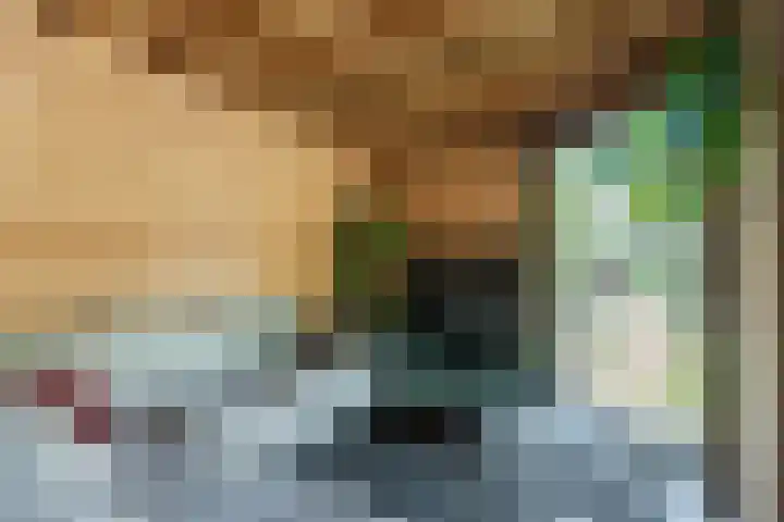 Zomerland 7 Geldrop thumbnail 34