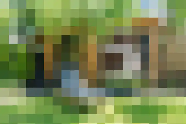 Zomerland 7 Geldrop thumbnail 35