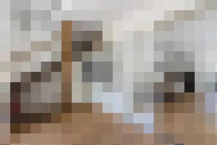 Zomerland 7 Geldrop thumbnail 5