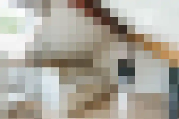 Zomerland 7 Geldrop thumbnail 53
