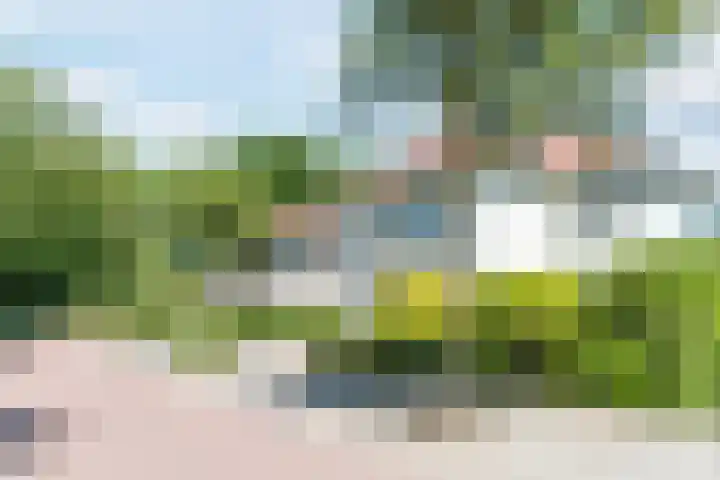 Zomerland 7 Geldrop thumbnail 55