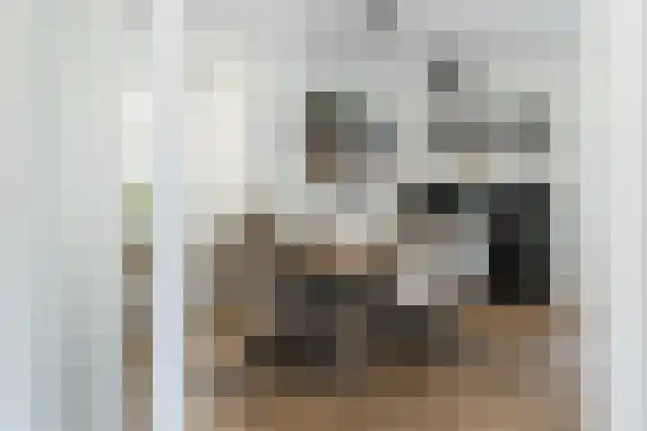 Zomerland 7 Geldrop thumbnail 6