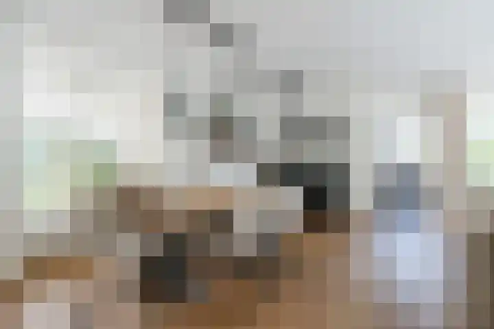 Zomerland 7 Geldrop thumbnail 7