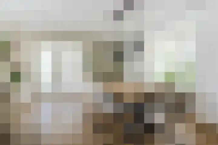 Zomerland 7 Geldrop thumbnail 8
