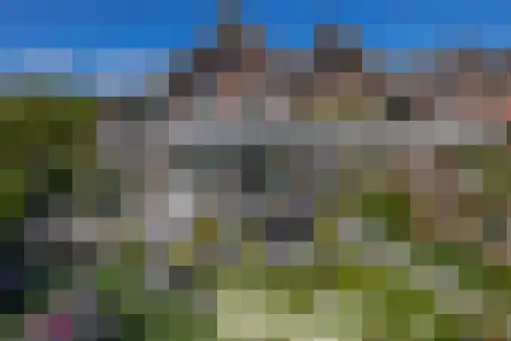 Zomerland 85 Zevenbergen thumbnail 4
