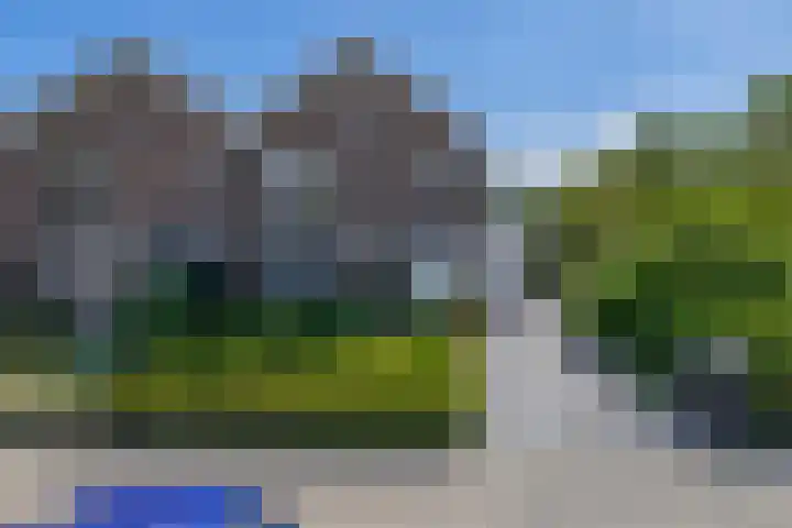 Zomerland 85 Zevenbergen thumbnail 8