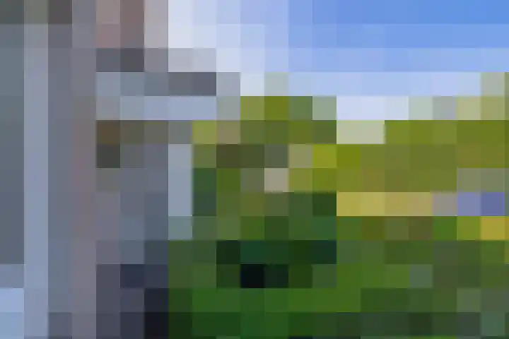 Zomerland 85 Zevenbergen thumbnail 9
