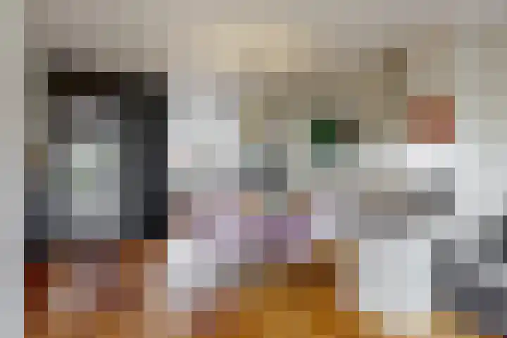 Zomerlinde 12 Heiloo thumbnail 10
