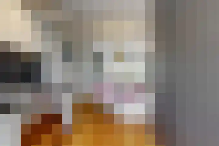 Zomerlinde 12 Heiloo thumbnail 12