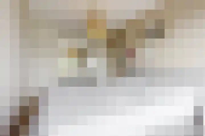 Zomerlinde 12 Heiloo thumbnail 18