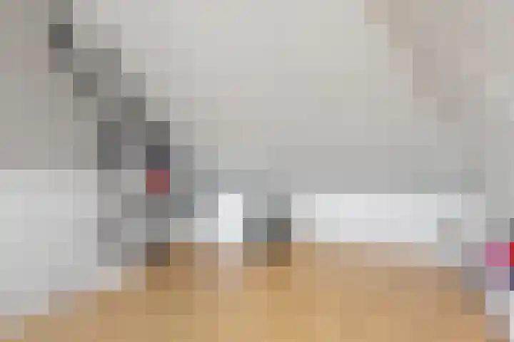 Zomerlinde 12 Heiloo thumbnail 27