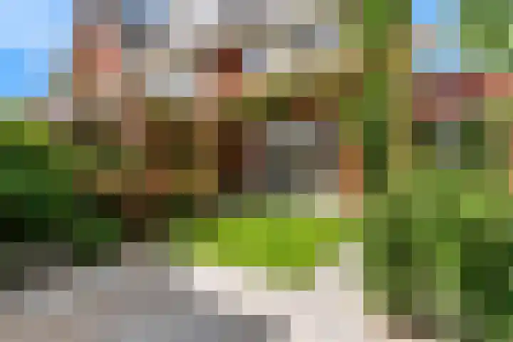 Zomerlinde 12 Heiloo thumbnail 34