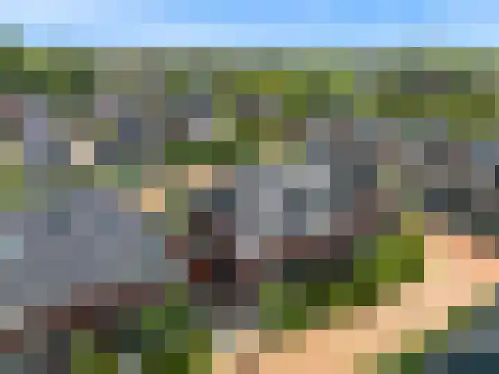 Zomerlinde 12 Heiloo thumbnail 38