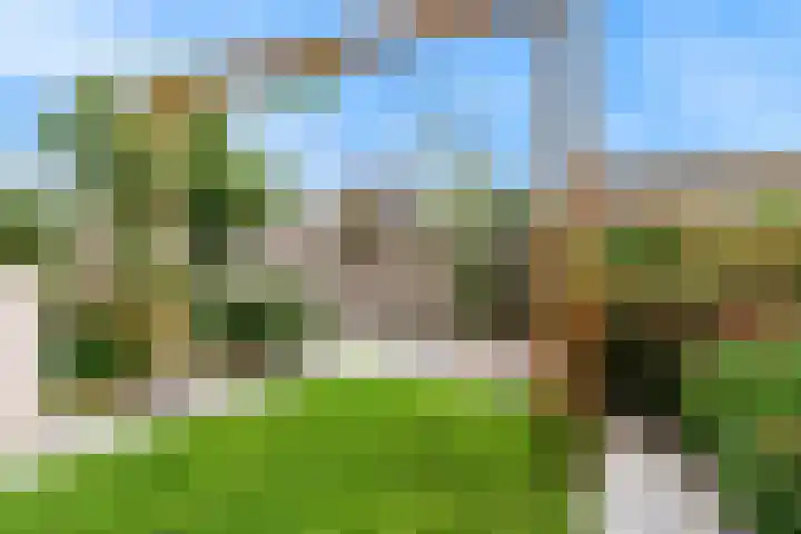 Zomerlinde 12 Heiloo thumbnail 4