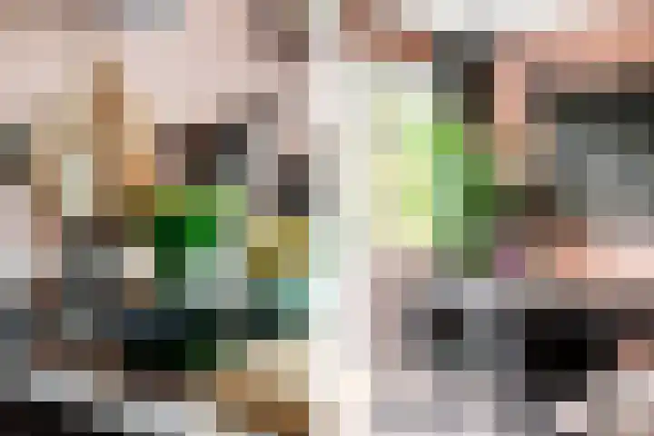 Zomerluststraat 15 Haarlem thumbnail 17