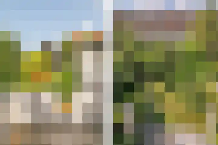 Zomerluststraat 15 Haarlem thumbnail 23