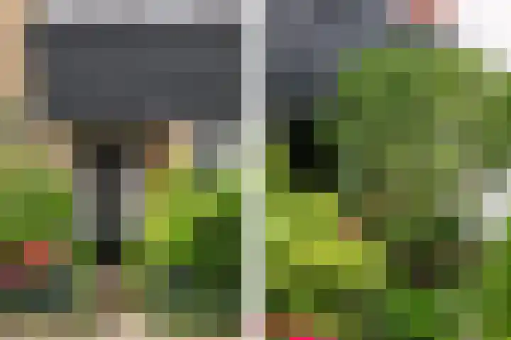 Zomerluststraat 15 Haarlem thumbnail 4