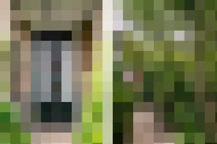 Zomerluststraat 15 Haarlem thumbnail 43