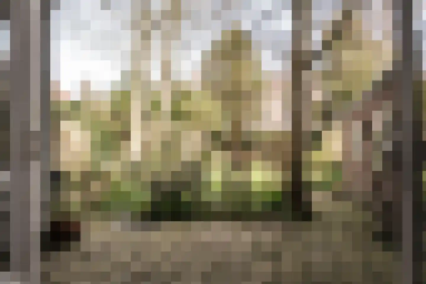 Zomerluststraat 20 Haarlem thumbnail 27