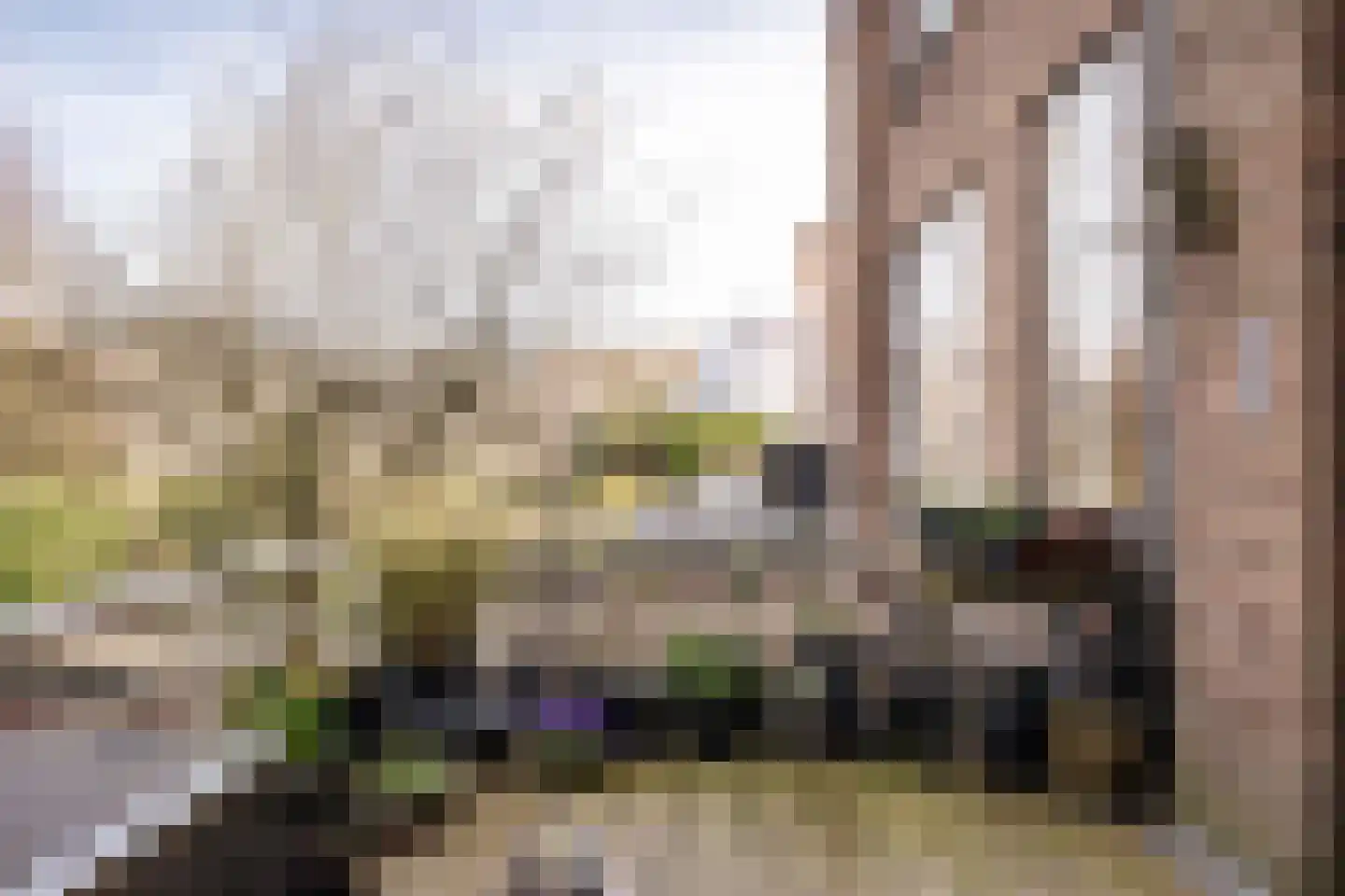 Zomerluststraat 20 Haarlem thumbnail 38