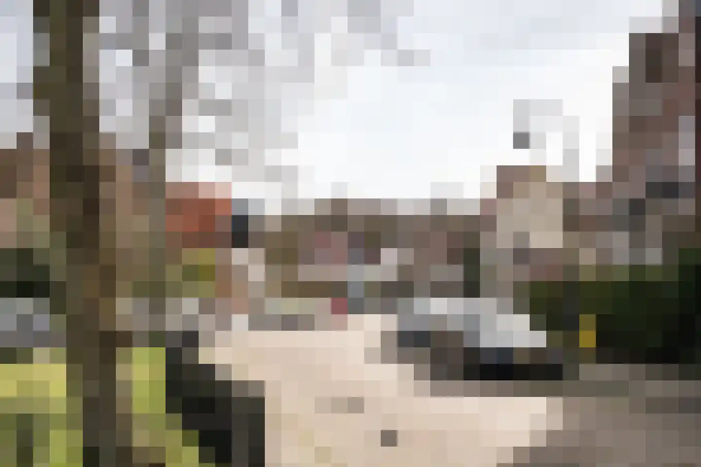 Zomerluststraat 20 Haarlem thumbnail 72
