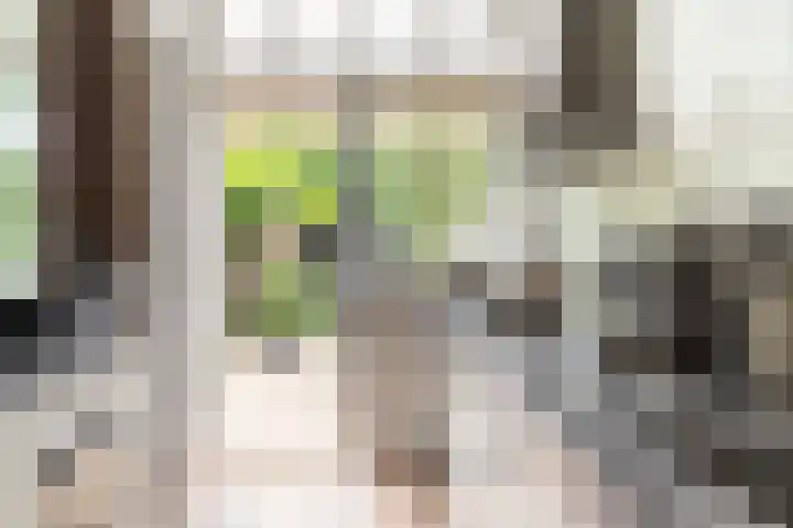 Zomerluststraat 9 Haarlem thumbnail 19
