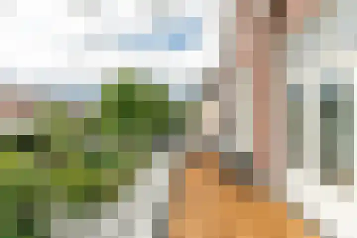 Zomerluststraat 9 Haarlem thumbnail 24