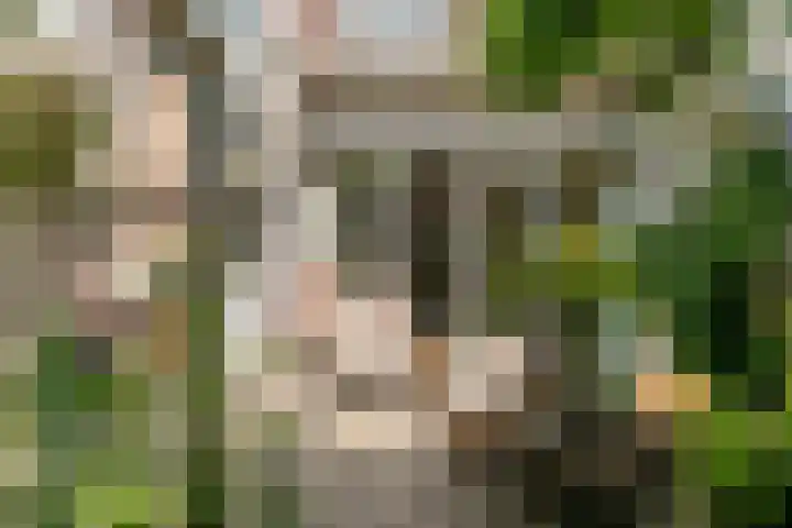 Zomerluststraat 9 Haarlem thumbnail 36