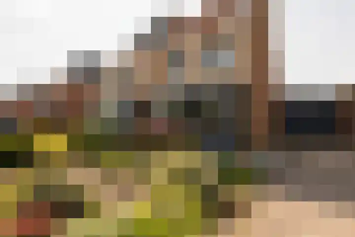Zomermeter 18 Sneek thumbnail 46