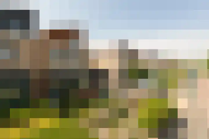 Zomermeter 18 Sneek thumbnail 49