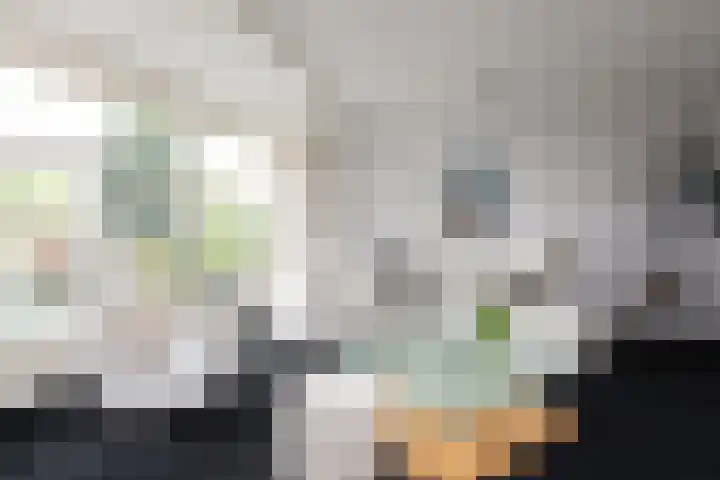 Zomermeter 18 Sneek thumbnail 7