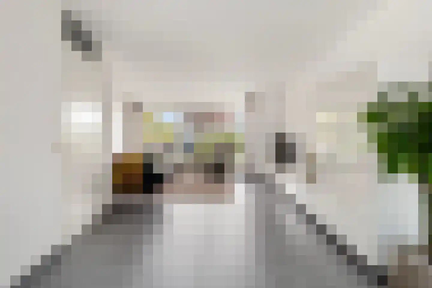 Zomermeter 30 Sneek thumbnail 16