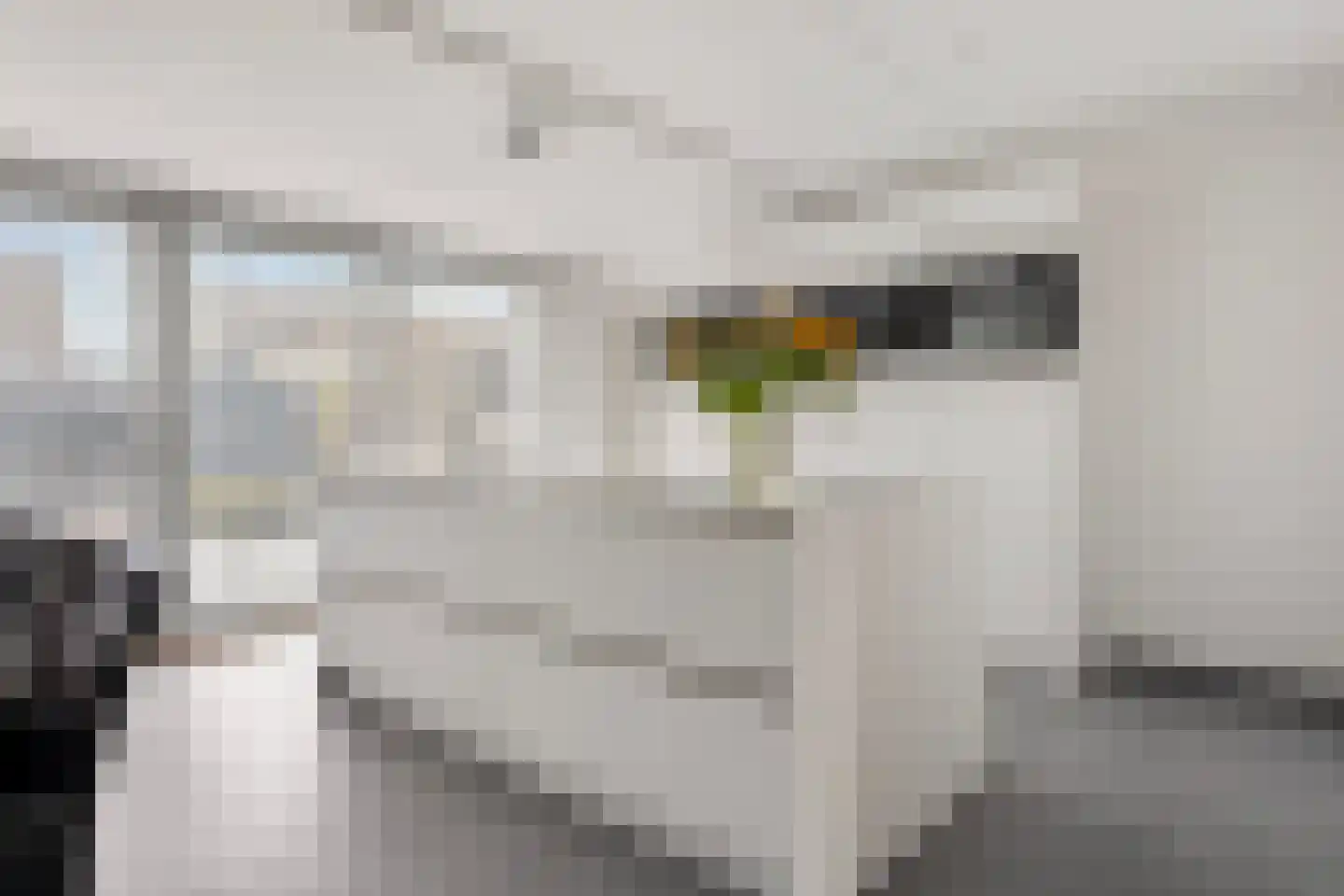 Zomermeter 30 Sneek thumbnail 21