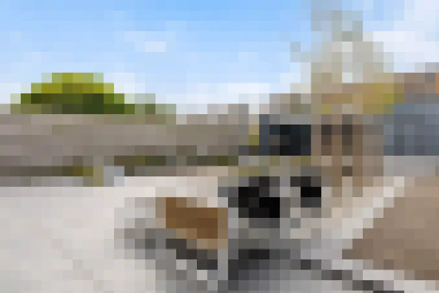 Zomermeter 30 Sneek thumbnail 45