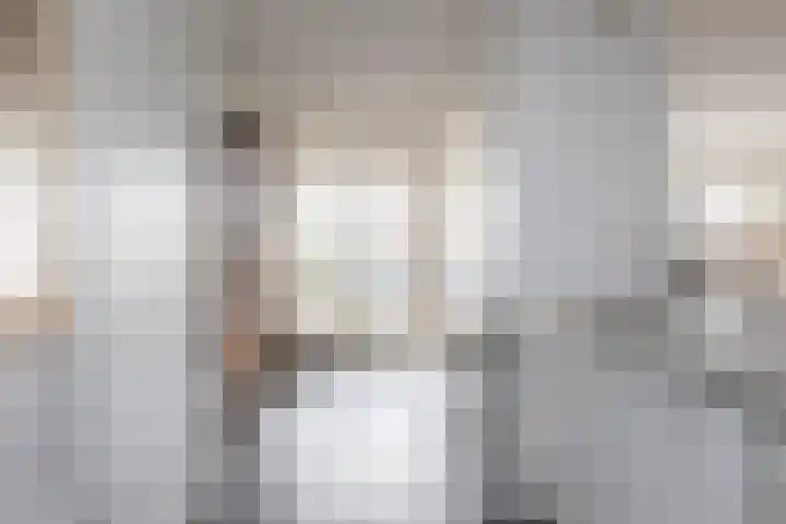Zomermeter 5 Sneek thumbnail 10