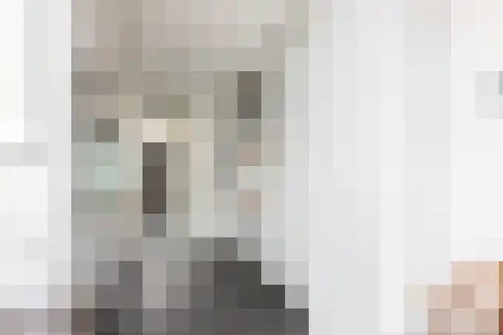 Zomermeter 5 Sneek thumbnail 11