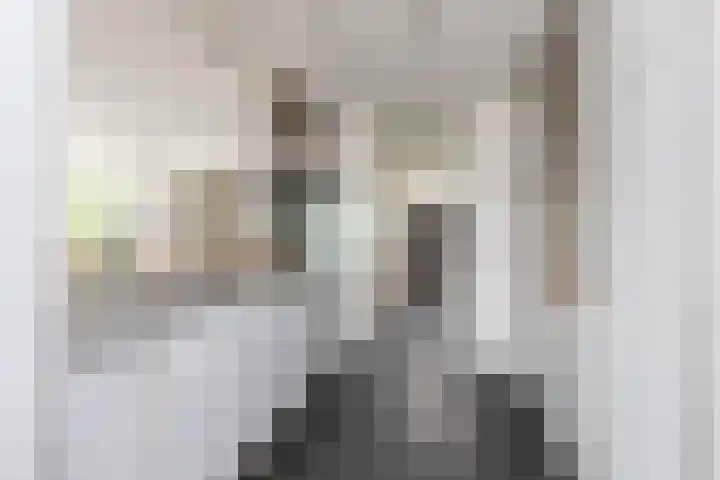 Zomermeter 5 Sneek thumbnail 12
