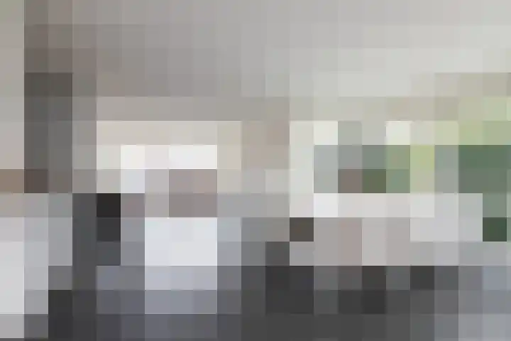 Zomermeter 5 Sneek thumbnail 14