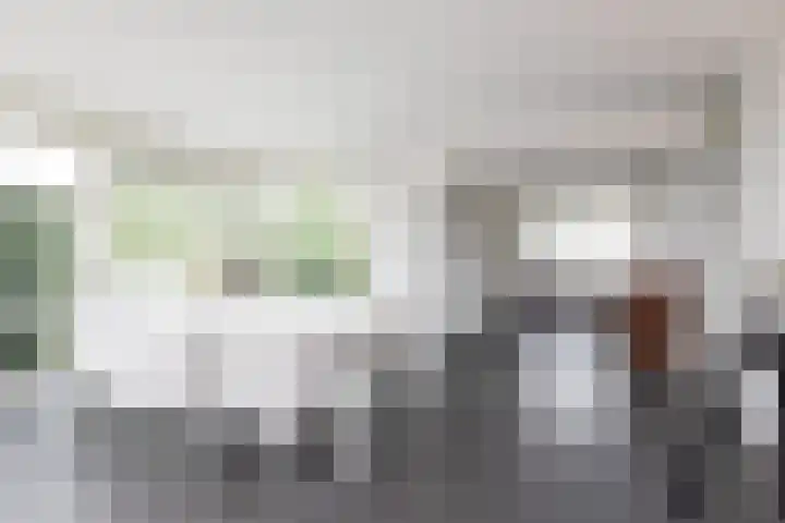 Zomermeter 5 Sneek thumbnail 15