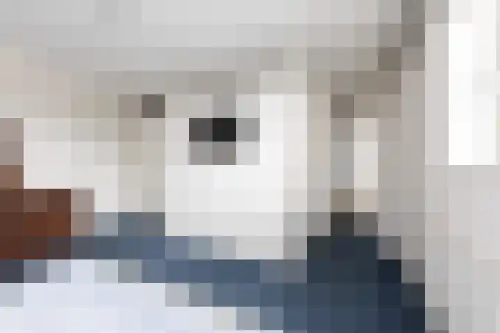 Zomermeter 5 Sneek thumbnail 31