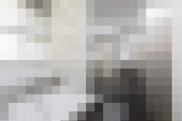 Zomermeter 5 Sneek thumbnail 33