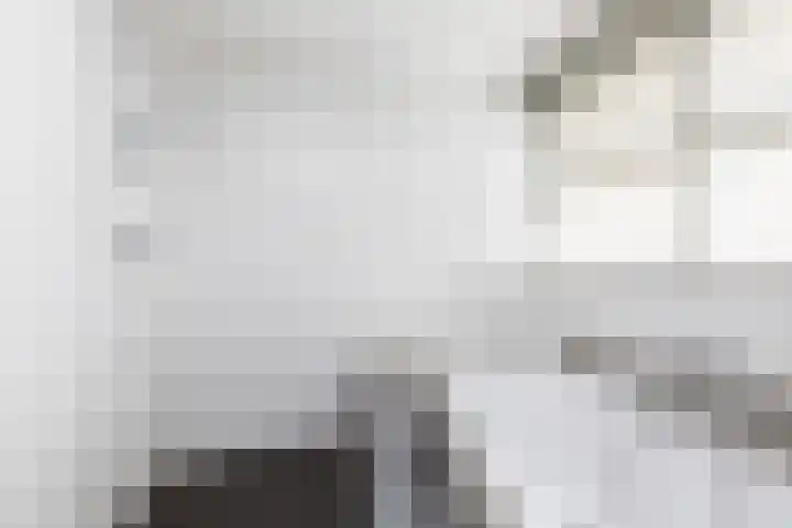 Zomermeter 5 Sneek thumbnail 34