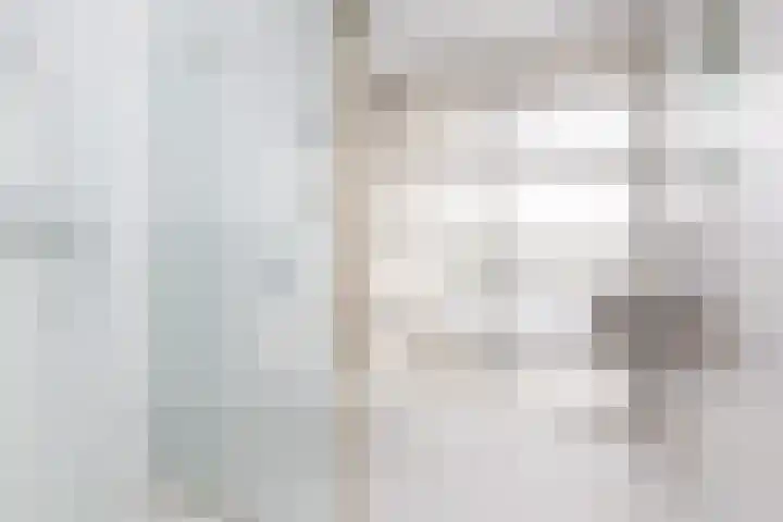 Zomermeter 5 Sneek thumbnail 41