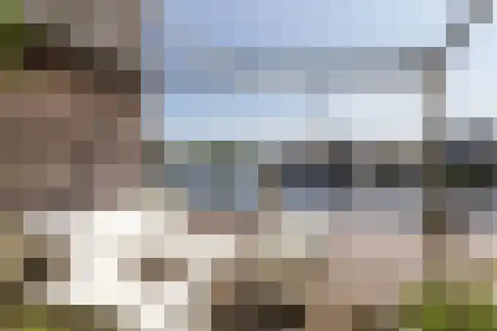 Zomermeter 5 Sneek thumbnail 43
