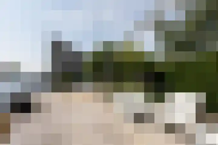 Zomermeter 5 Sneek thumbnail 45