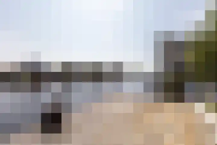 Zomermeter 5 Sneek thumbnail 46